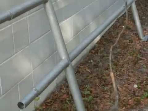 Messing with a Wasp Nest at School