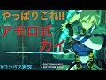 野良でも安定した強さ！やっぱりアモロ式カイ！！　＃コンパス地声実況