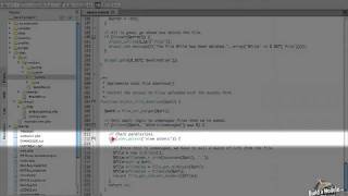 151. How to use the private file system with unmanaged files (a Drupal how-to)