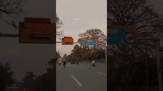 Allah ka naraz hona #peerajmalqadrinewbayan #shortvideo #foryou #islmicreels