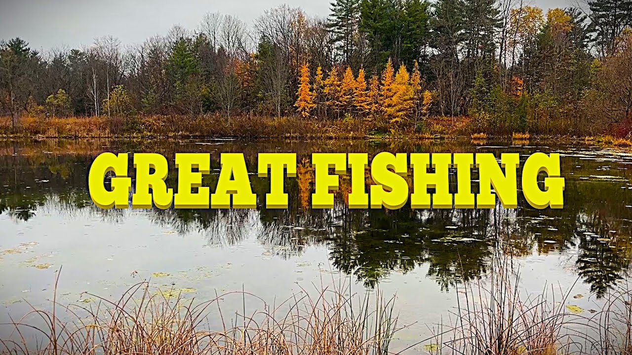 Рыбалка в одном из лучших прудов Южного Онтарио. Множество интересных видов!