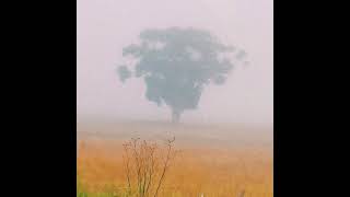 fading through the clouds again