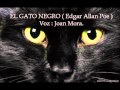 EDGAR ALLAN POE. El gato negro. Narrado por Joan Mora.