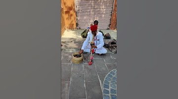 Thumbnail of Snake charming (pungi), [the practice of appearing to hypnotize a snake] || JAIPUR || RAJASTHAN 😇