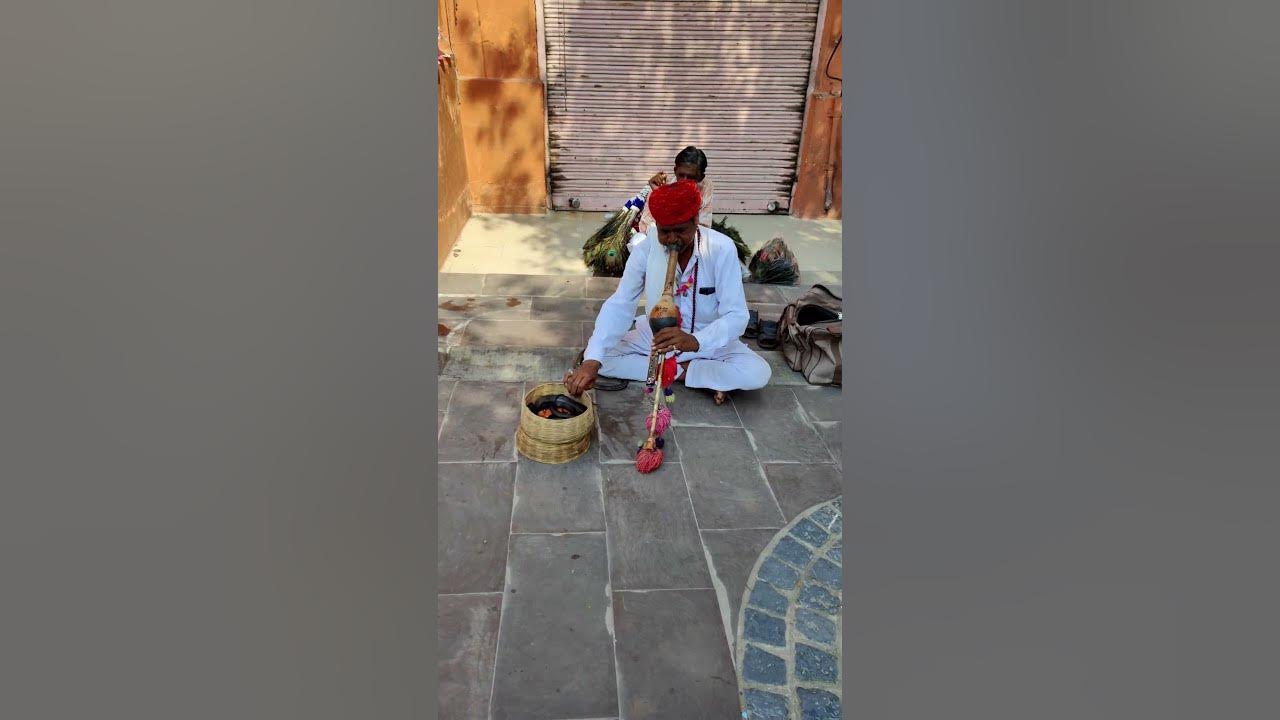 Snake charming (pungi), [the practice of appearing to hypnotize a snake] || JAIPUR || RAJASTHAN 😇
