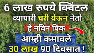 Download Lagu कमी खर्चात शेतकऱ्याला जास्त कमाई देणार नविन पिक|February march pike|उन्हाळी पिके|मालामाल पिके