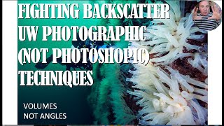 Alex Mustard on Eliminating Backscatter in Underwater Photography. Webinar + Q&A from Facebook Live