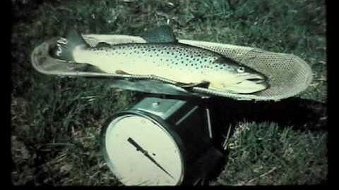 SUNY-ESF / Eutrophication (Global Environment - 19)