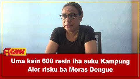 Uma kain 600 resin iha suku Kampung Alor risku ba Moras Dengue