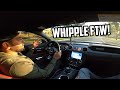 WHIPPLE SUPERCHARGED MUSTANG FIRST DRIVE REACTION! From a ProCharged Mustang Owner!