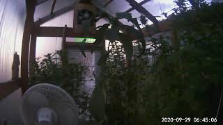 Another Ghost video