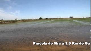 Venta Finca rustica en Guadiana del caudillo, SIN ZONA