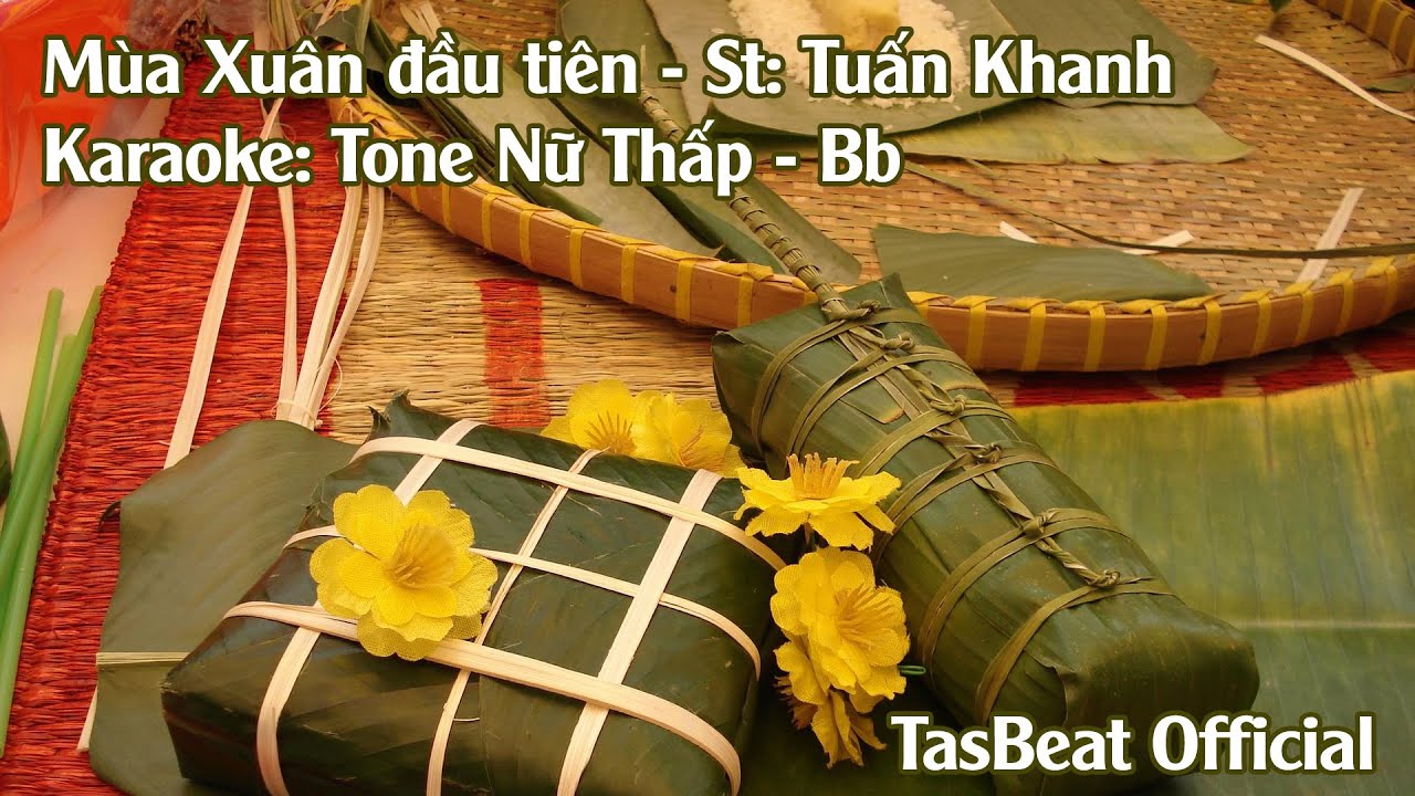 Karaoke Mùa Xuân Đầu Tiên - Tone Nữ Thấp | TAS BEAT