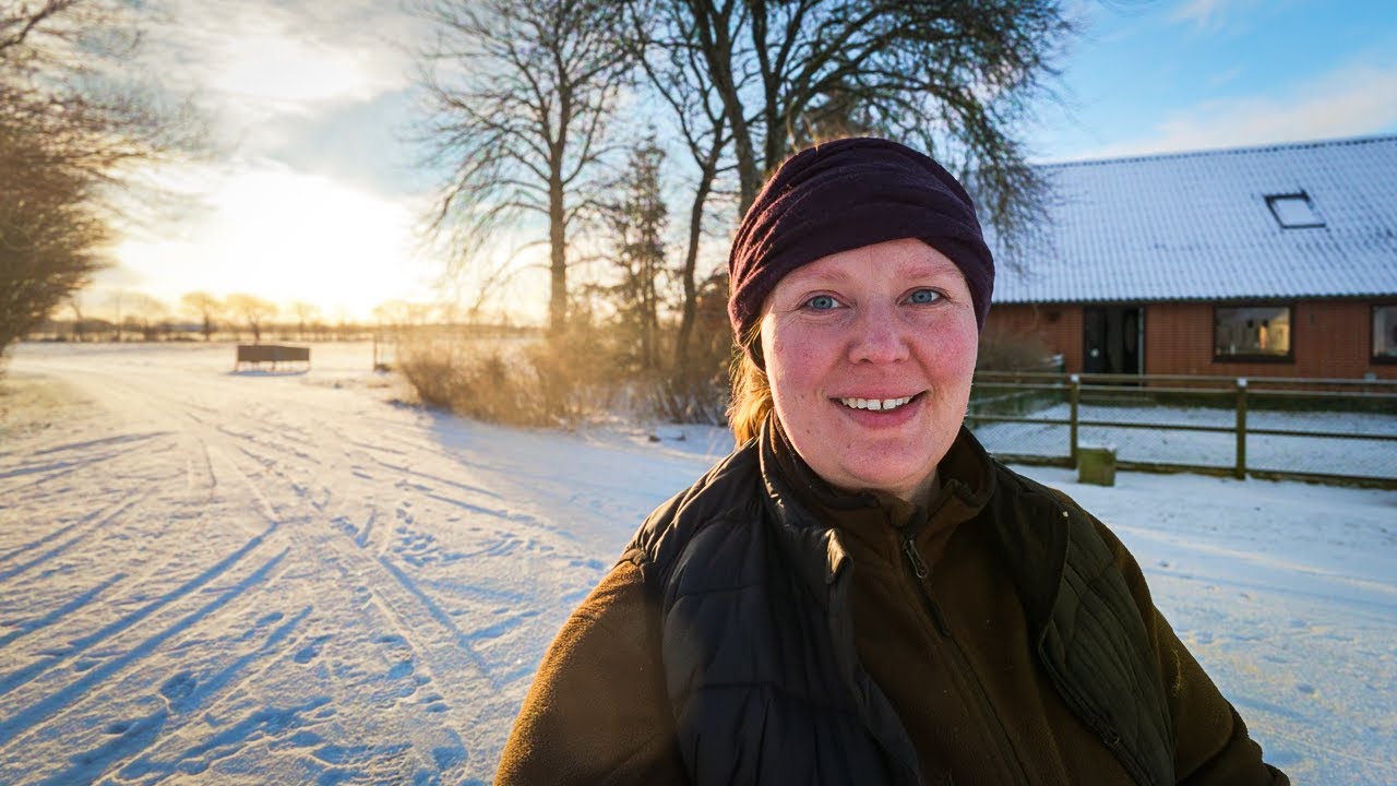 Får i stalden, rotter i fælden og farvel til Røde.