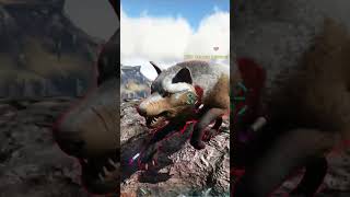 Ark Survival Evolved Ragnarok DareWolf Male and Female Tame Tips #shorts #arksurvival #subscribe