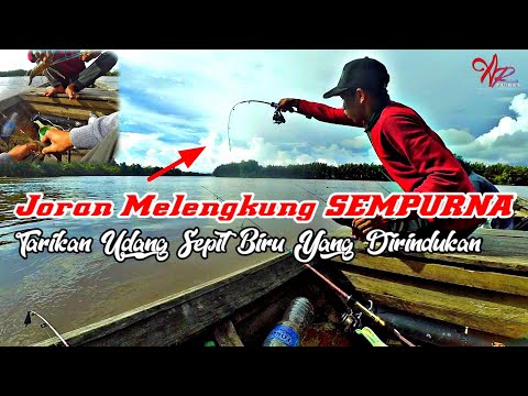 STRIKE BERUNTUN UDANG GALAH, JORAN MELENGKUNG SEMPURNA /Pesta Strike Sifu Part 2 /Giant Prawns #018