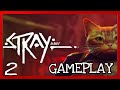 Stray Gameplay Comentado. Una Aventura Felina. Buscando a Momo [PC, PS5, PS4] Parte 2/4.