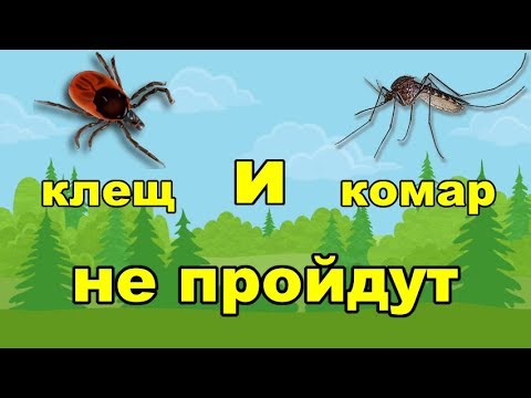 Как сделать отличное средство против клещей и комаров