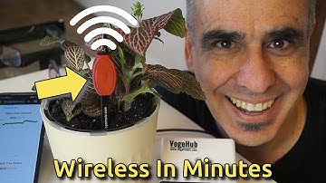 Wireless Soil Moisture Sensor – Set Up in Just 5 Minutes!