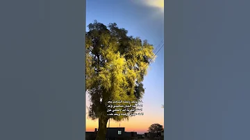 خله ياخذ راحته الشامت بعد انطه بيه حيدر هواد شعر الشعرالشعبي اكسبلور ستاتو ستوريا شعر شعب 