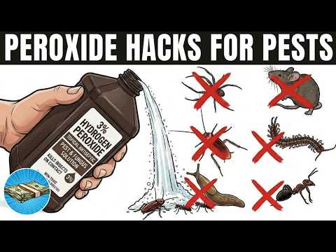 Lice Infestation? This Household Item Could Be Your Savior (Peroxide!)