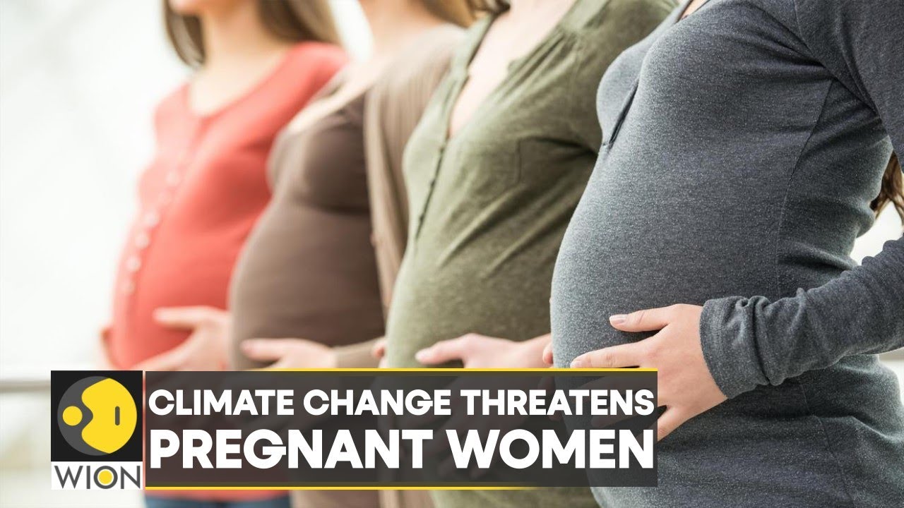 WION Climate Tracker| Climate change may occur as a threat to pregnant ...