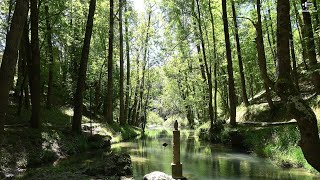 " A la orilluca del Ebro " - Música tradicional con escenas de Campoo -por dc