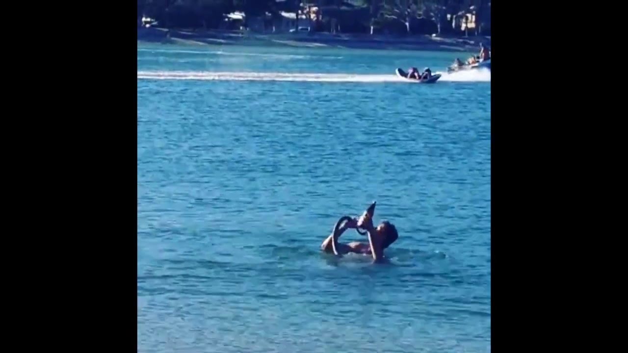 snake oil Aussie bloke takes pet snake for swim, drinks beer