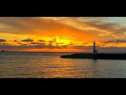 新作…南国リゾートの美しい海…美しい波の音…♡ブルーオニキス&マザーオブパール② 22 ラグゼ 桜幻 鯛ラバー R B52L-solid.RF – フィッシング