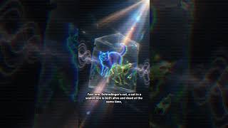 Is Reality an Illusion? The Quantum Mystery