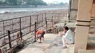 Haridwar Ganga Cleaning Campaign 2026 🙏 | Cleaning of Shri Jugat Niwas Ashram Ghat | Service to G...