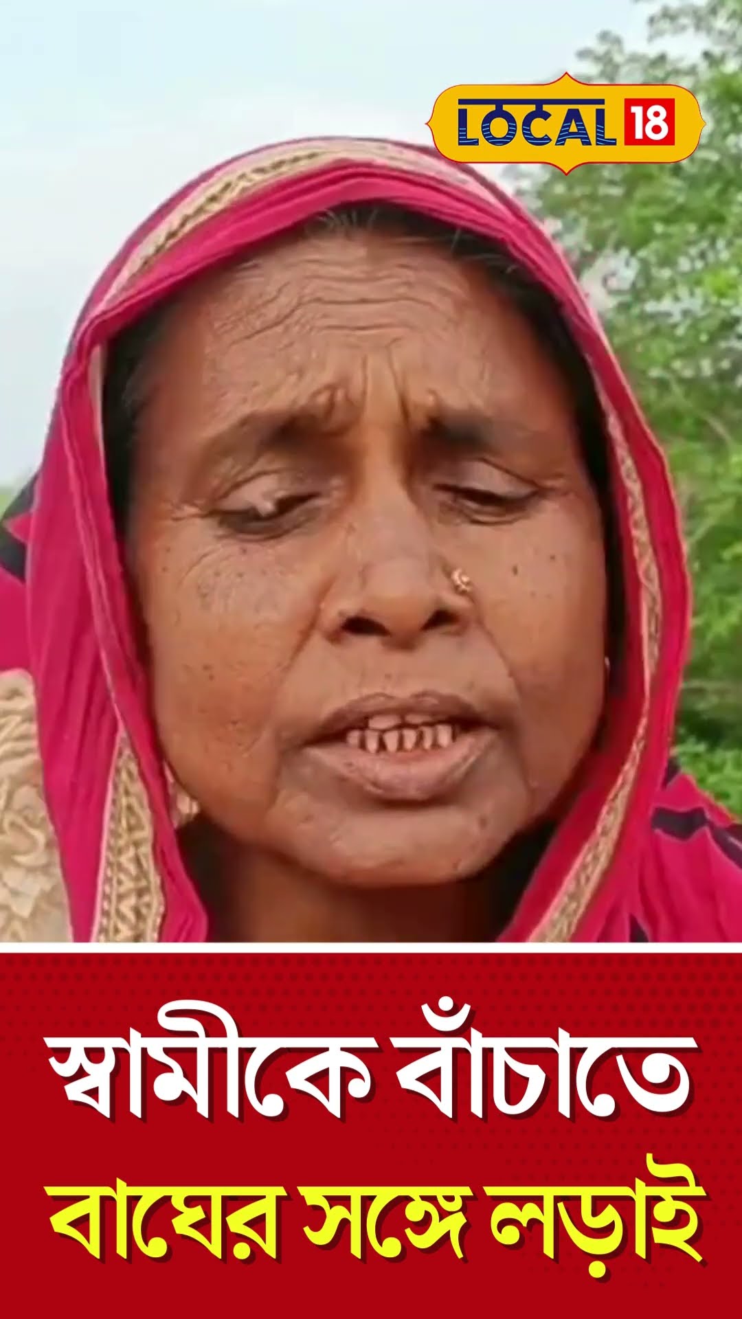 Bangla News | স্বামীকে বাঁচাতে বাঘের সঙ্গে লড়াই সুন্দরবনের এই মহিলার! | #local18shorts #shorts