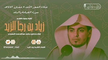 كلا إذا بلغت التراقي - فجرية هادئة بديعة سورة القيامة والبلد .. للشيخ زياد الزيد