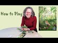 How to Play Forest Shuffle: A Board Game Christians Can Play