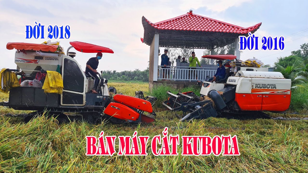 Anh chủ bỏ nghề cần bán cặp máy cắt Kubota Dc70 2016 & Dc70 Plus 2018 | Rice Harvester, LADY