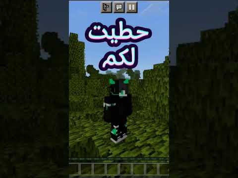 كيف تجيب كوينزات او عمل ماين كرافتيه مجانا 