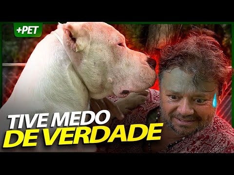 DOGO ARGENTINO, O MAIS EFICIENTE PARA GUARDA! | RICHARD RASMUSSEN