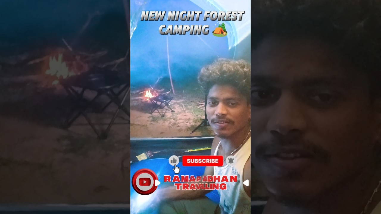 my new night rain camping and forest 🏕️‼️