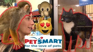 Monkey Goes To Pet Smart