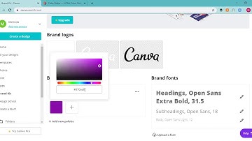 How to Add Branding Colors to Canva