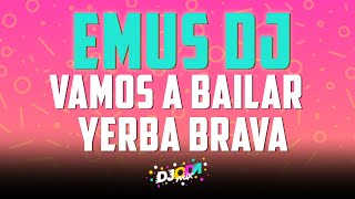 Download Lagu Vamos A Bailar - Yerba Brava (Emus DJ Remix) MP3