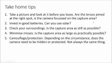 Getting the best from motion activated cameras on your property - Part 6:
