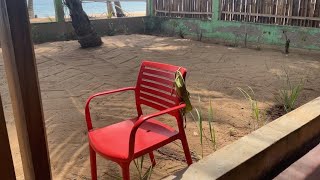 it's always the simple things in life