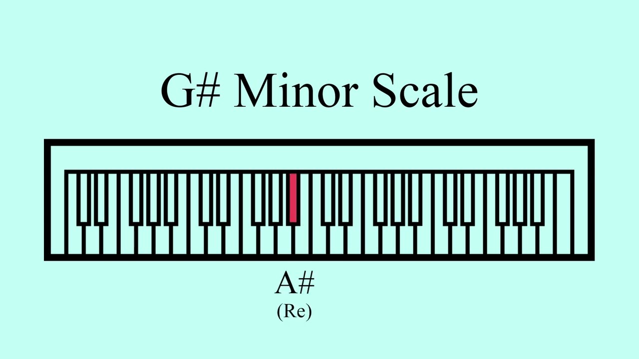 G# Minor Scale | Ear Training | Vocal Warm Up