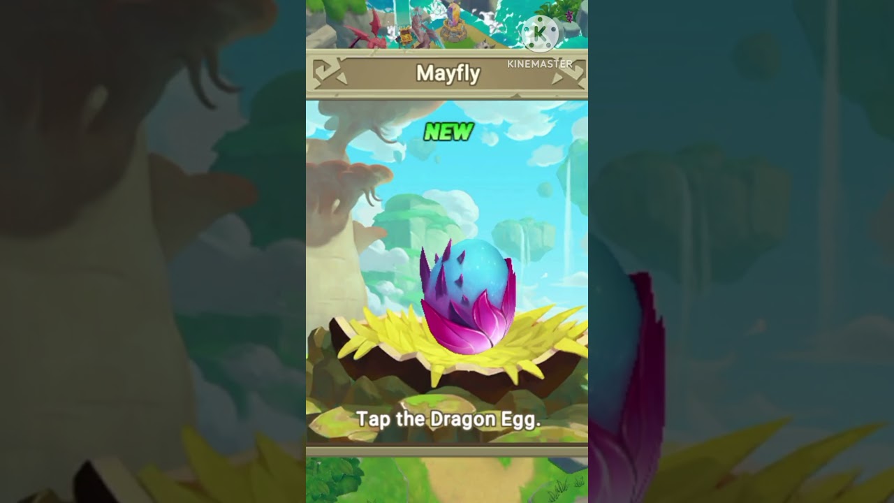 DRAGON TAMER NEW DRAGON | SHORTS ~ 577 