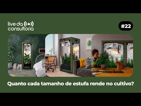Quanto Rende Cada Tamanho de Estufa no Cultivo Indoor de Cannabis? | Guia de Rendimento por Grow