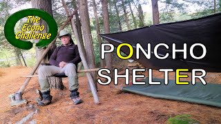 Poncho Shelter Overnight Wilderness Camping – Help solve a mouse mystery - Not So Wild Vlog #18