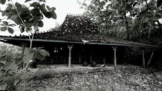 In this Joglo House There is a Coffin | Jogjakarta