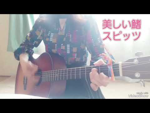 美しい鰭／スピッツ　ギター弾き語りカバー