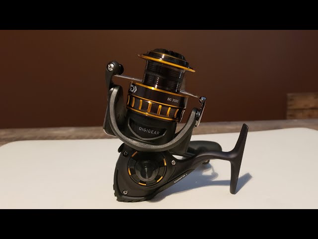 THE DAIWA BG 3500 REEL REVIEW..Is this reel good for the price? 120.00 US  dollars. 